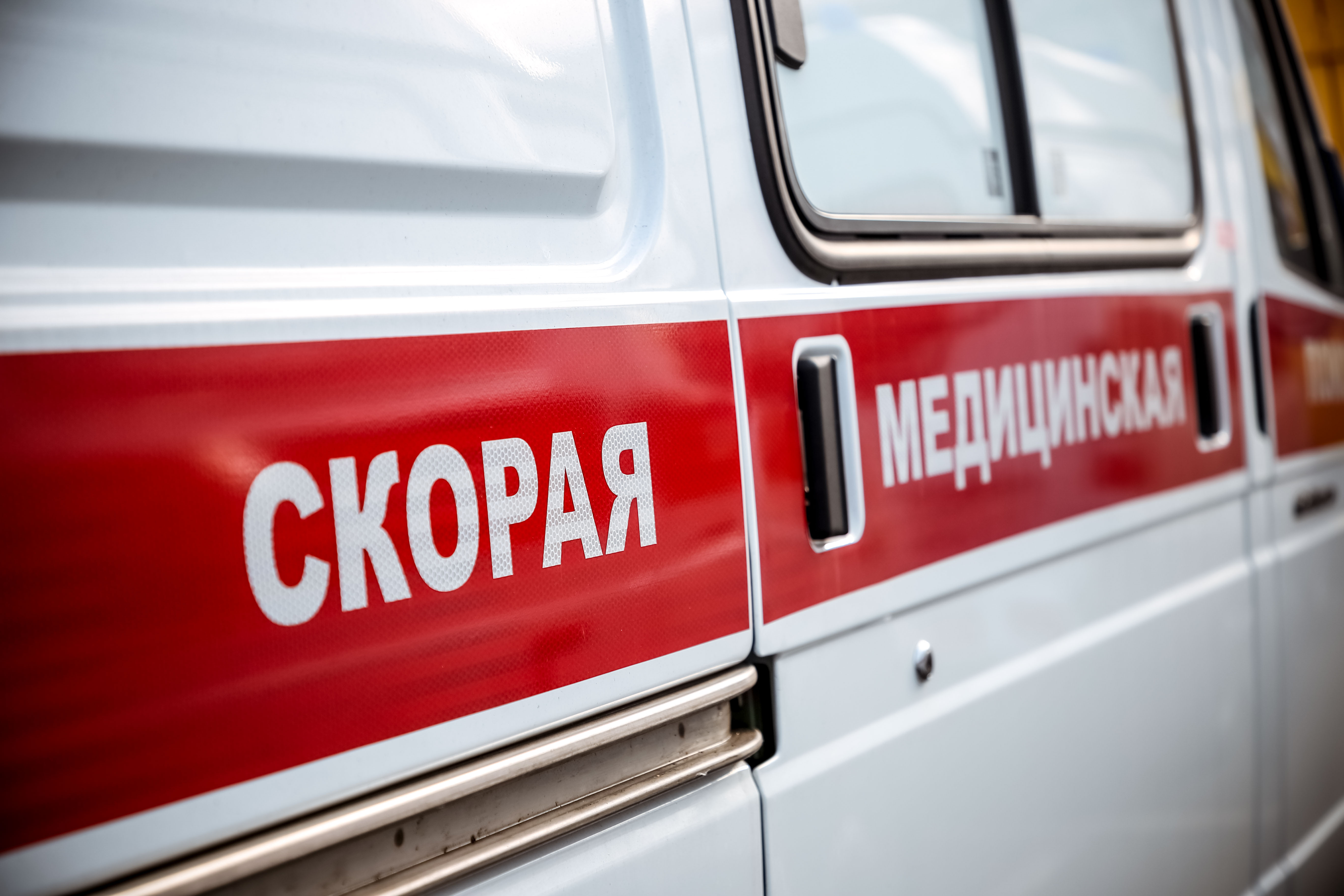 В Тверской области мужчина напал с железной трубой на женщину В Тверской области мужчина напал с железной трубой на женщину
