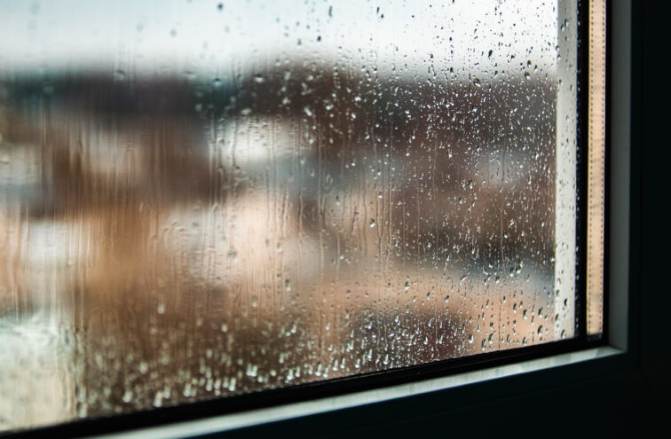 Дожди и прохлада не хотят уходить из Тверской области Дожди и прохлада не хотят уходить из Тверской области