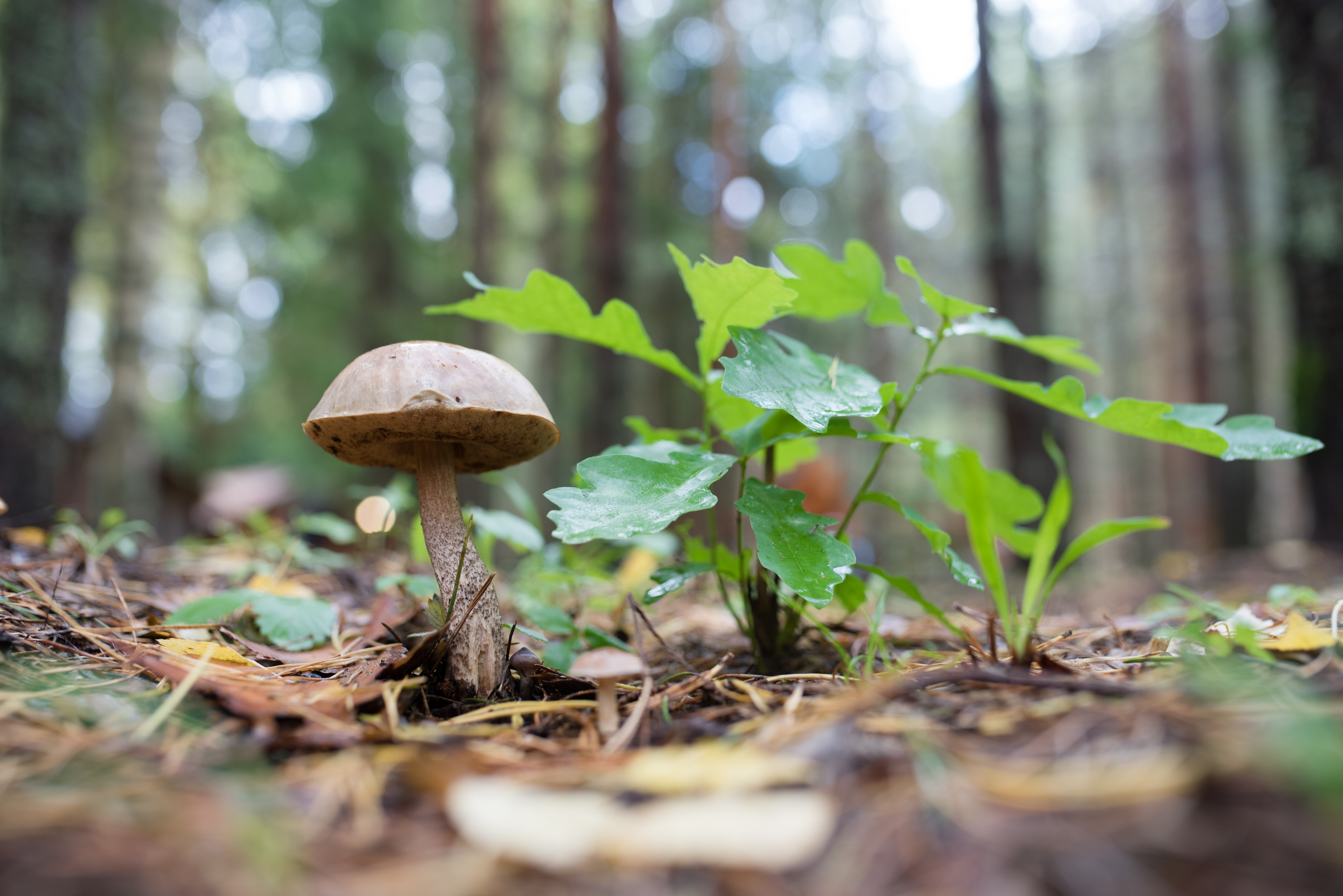 Приметы: Как не испортить свою жизнь в Прохоров день