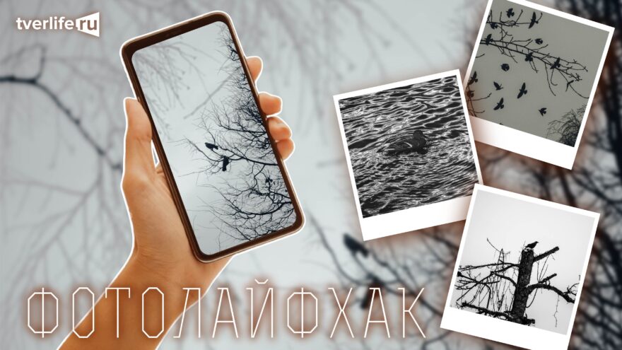 Фотолайфхак: Монохром и чб