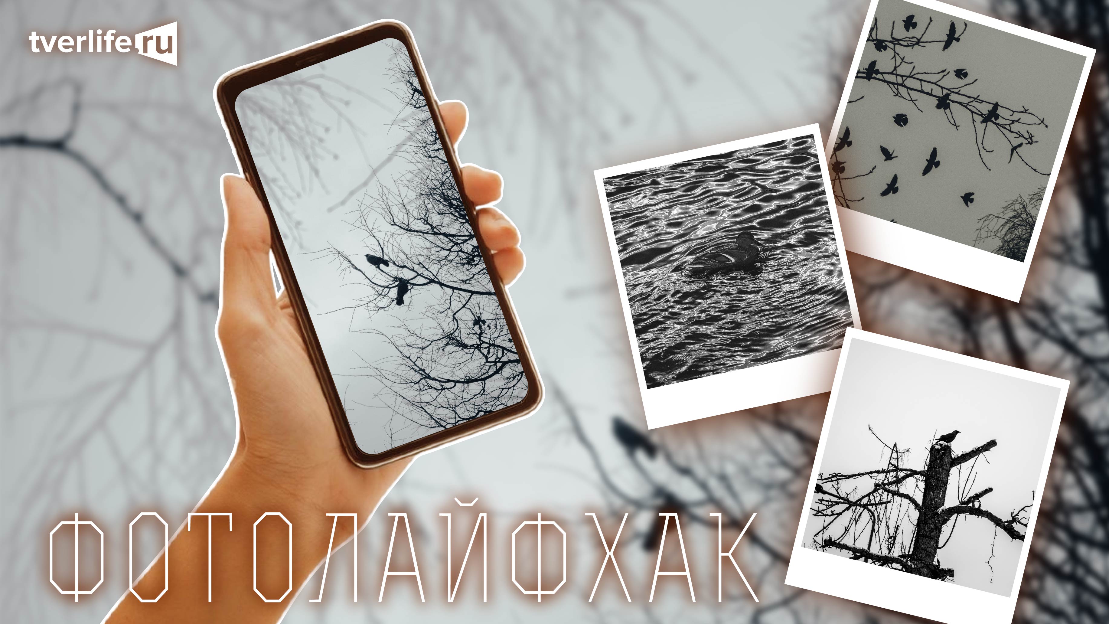 Фотолайфхак: Монохром и чб Фотолайфхак: Монохром и чб