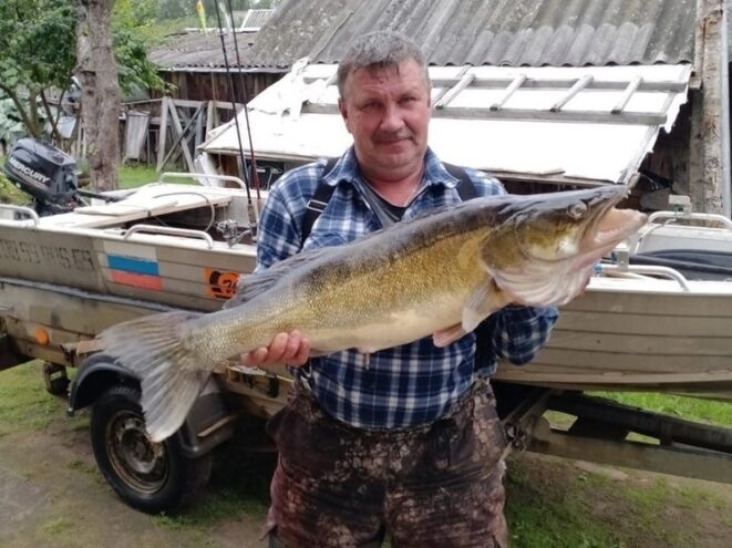 Житель Тверской области поймал огромного судака