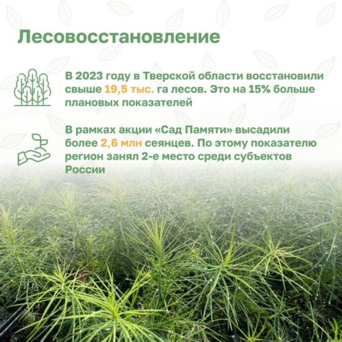 Тверская область стала одним из лучших регионов в сфере охраны лесов от огня Тверская область стала одним из лучших регионов в сфере охраны лесов от огня