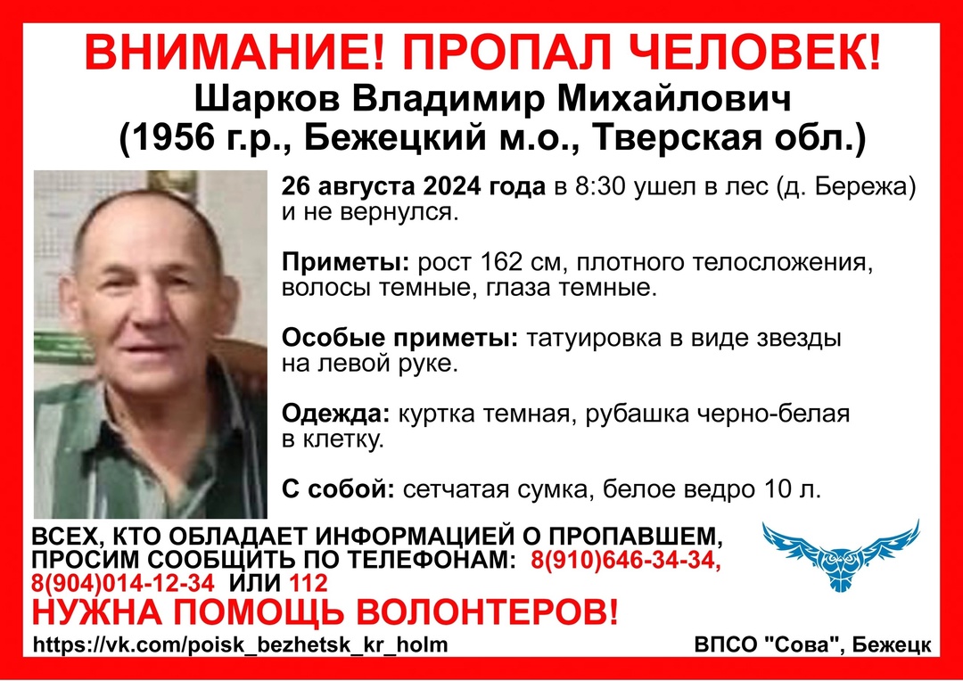 В Тверской области ищут пропавшего в лесу мужчину В Тверской области ищут пропавшего в лесу мужчину