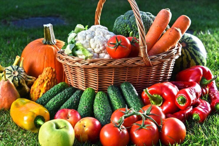 В Лихославле собирают продукты для «Урожая Верхневолжья» В Лихославле собирают продукты для «Урожая Верхневолжья»