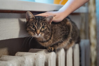 Тверская область готовится к отопительному сезону