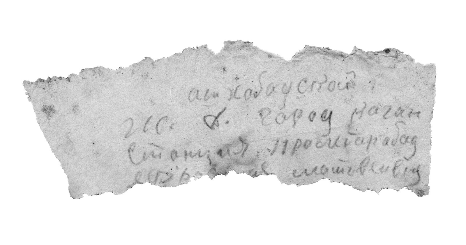 Поисковикам удалось найти родственников красноармейца, погибшего в Ржевском округе