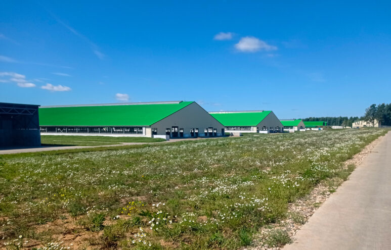 В Кашинском округе завершается строительство крупного молочно-товарного комплекса В Кашинском округе завершается строительство крупного молочно-товарного комплекса