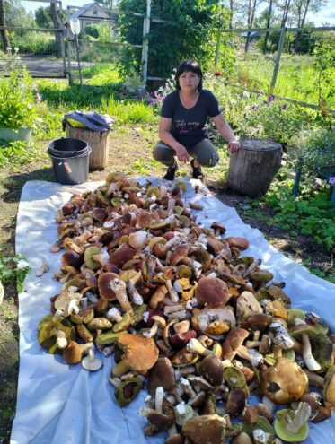 Больше 1000: жительница Тверской области похвасталась после похода в лес