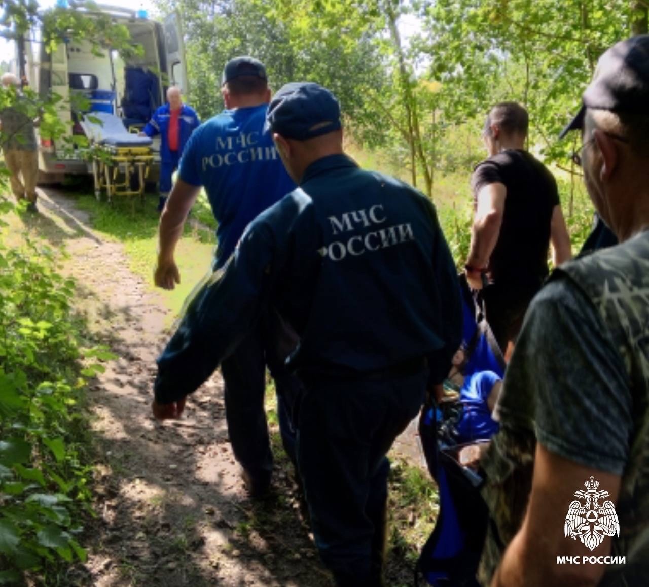 В Тверской области женщина потеряла сознание после укуса змеи В Тверской области женщина потеряла сознание после укуса змеи
