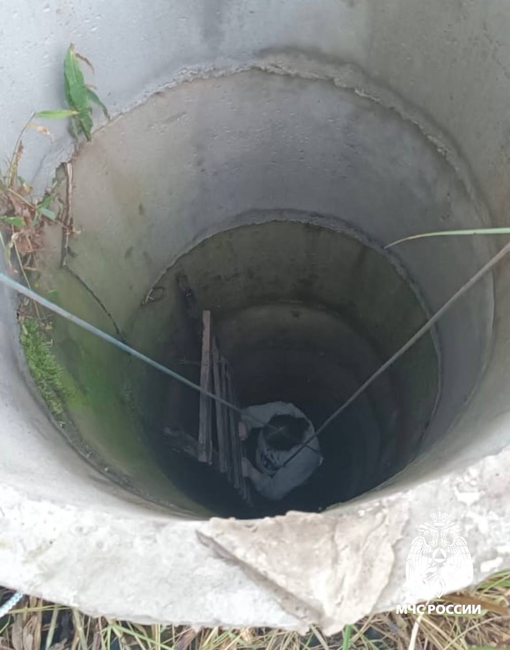 Жительница Тверской области оказалась на дне колодца во время сбора яблок Жительница Тверской области оказалась на дне колодца во время сбора яблок