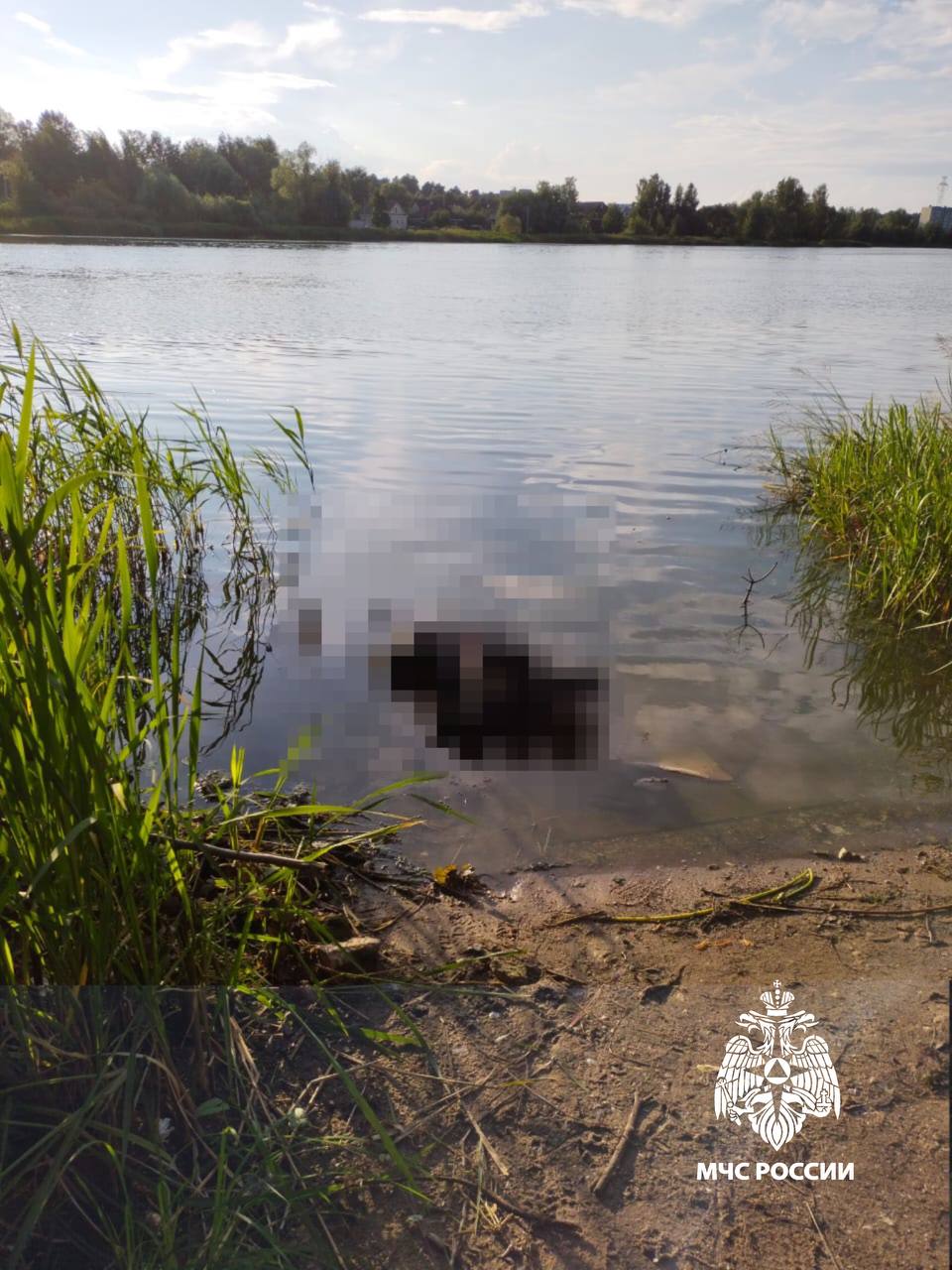 В Тверской области в реке нашли тело мужчины В Тверской области в реке нашли тело мужчины