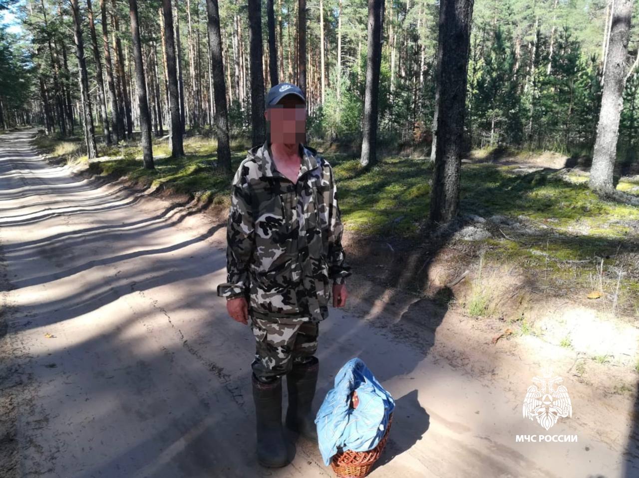 В Тверской области сотрудники МЧС помогли грибнику выбраться из леса В Тверской области сотрудники МЧС помогли грибнику выбраться из леса