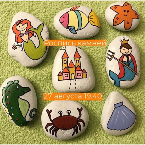 В тверском котокафе распишут камни из Черного моря