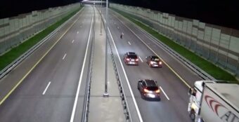 В Тверской области медведь собрал на трассе самую милую пробку В Тверской области медведь собрал на трассе самую милую пробку