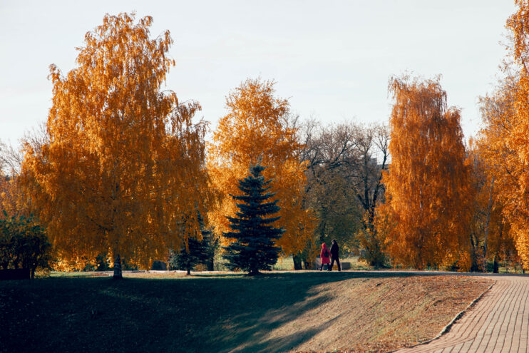 Синоптик рассказал, каким будет сентябрь в Тверской области Синоптик рассказал, каким будет сентябрь в Тверской области