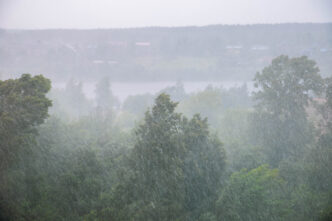 МЧС: по Тверской области пройдёт сильный дождь