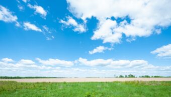 Август в Тверской области продолжает радовать аномальной жарой Август в Тверской области продолжает радовать аномальной жарой