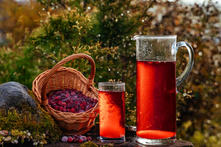 Россияне отказываются от соков и нектаров в пользу кваса и морсов