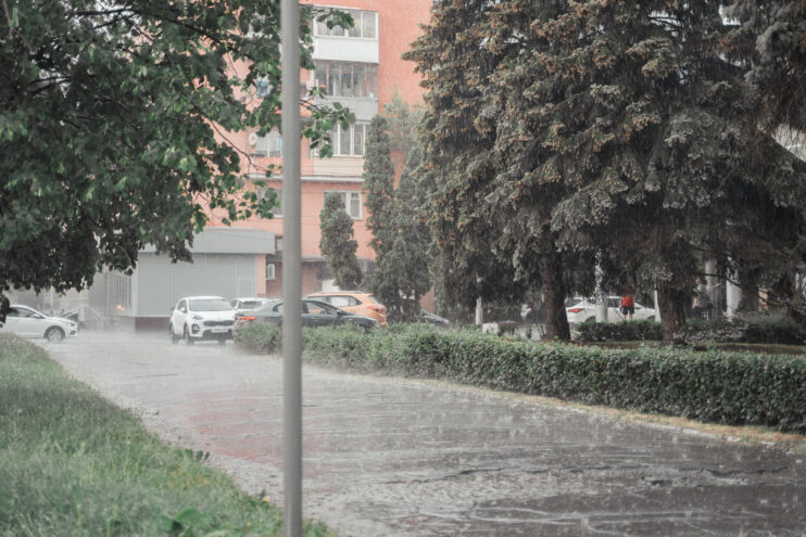 7 августа в Тверской области вновь пройдут ливни и грозы