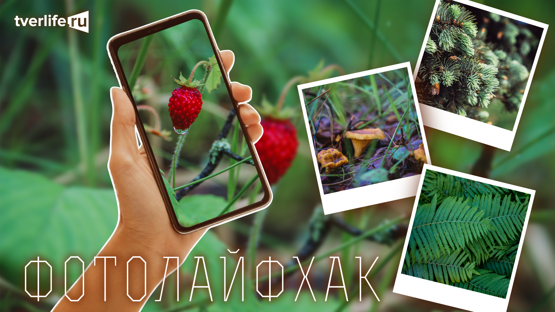 Фотолайфхак: Цвет Фотолайфхак: Цвет
