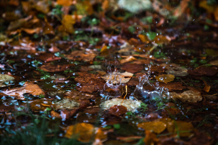 Сильный дождь обрушится на Тверскую область в пятницу