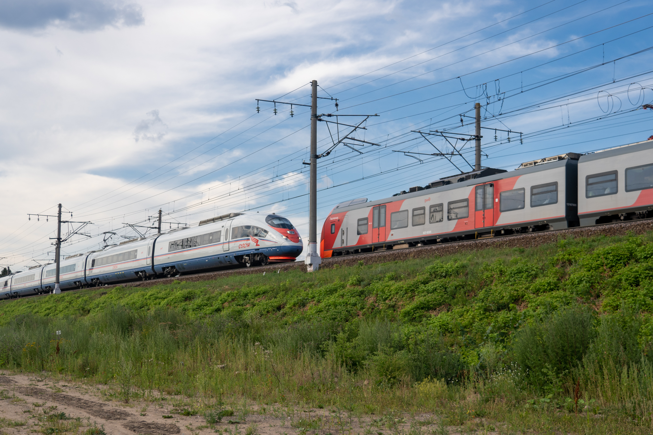 В Тверской области поезд насмерть сбил человека В Тверской области поезд насмерть сбил человека