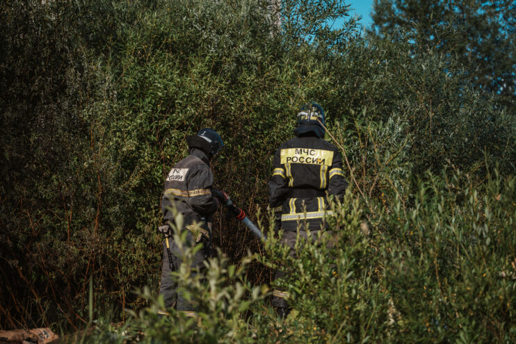 В МЧС предупредили о чрезвычайной пожарной опасности в Тверской области В МЧС предупредили о чрезвычайной пожарной опасности в Тверской области