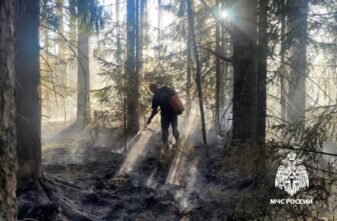 В Тверской области загорелась сухая трава В Тверской области загорелась сухая трава