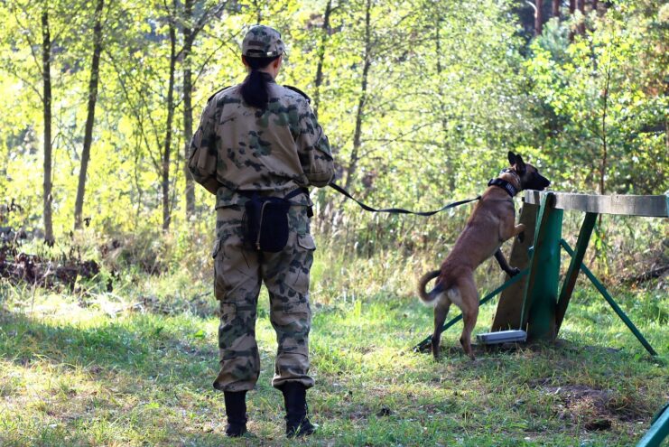 В Твери состоялась межведомственная тренировка кинологов
