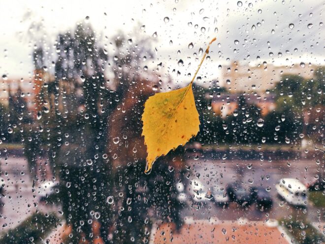 В Тверскую область заглянут дожди В Тверскую область заглянут дожди