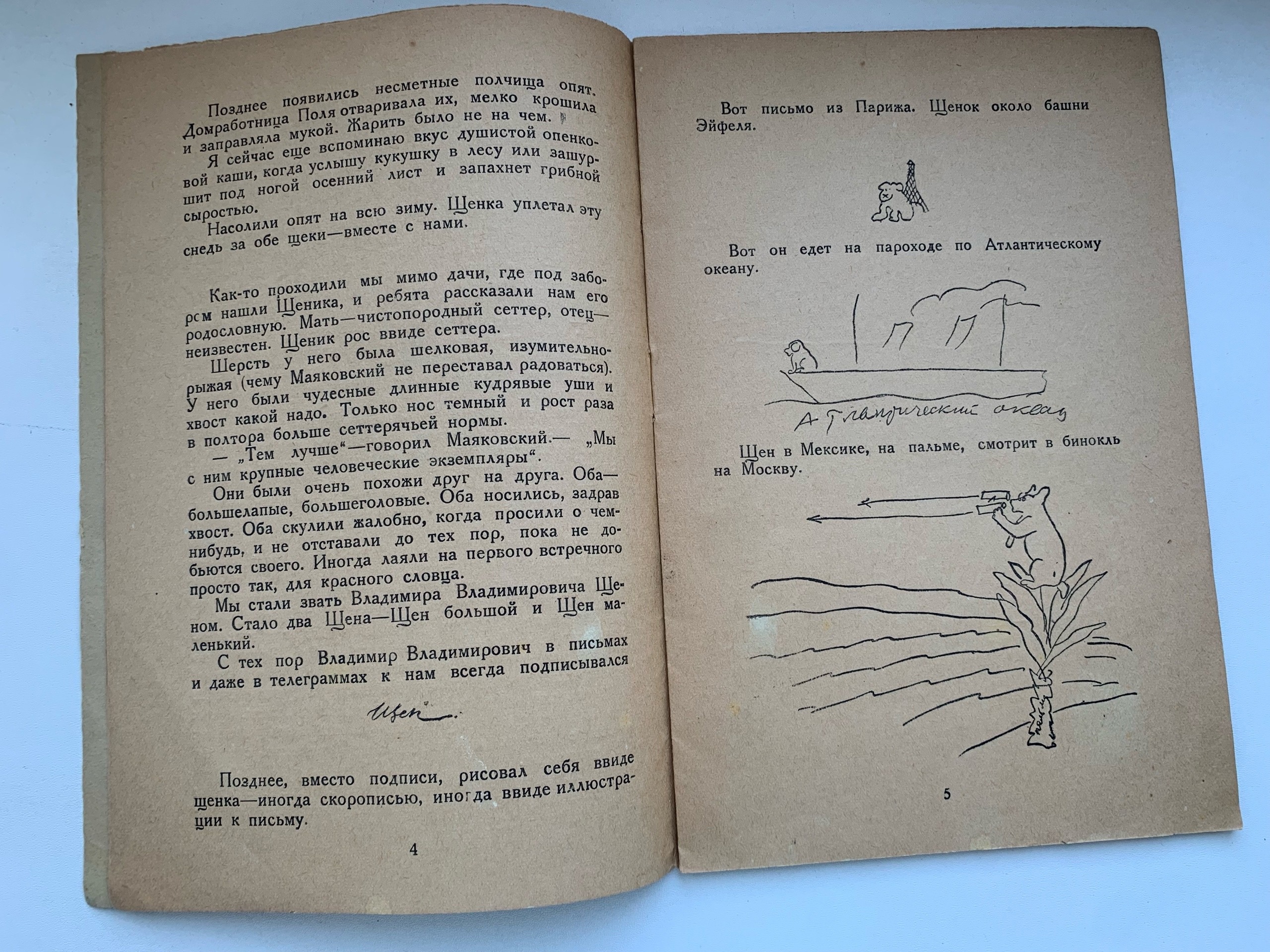 Тайны старых переплетов: Запретный щенок сладок?