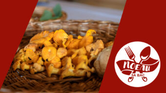 Поели за вас: Лучшие блюда из грибов Поели за вас: Лучшие блюда из грибов