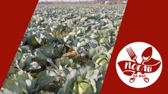 Поели за вас: Лучшие рецепты из капусты на Воздвижение Поели за вас: Лучшие рецепты из капусты на Воздвижение