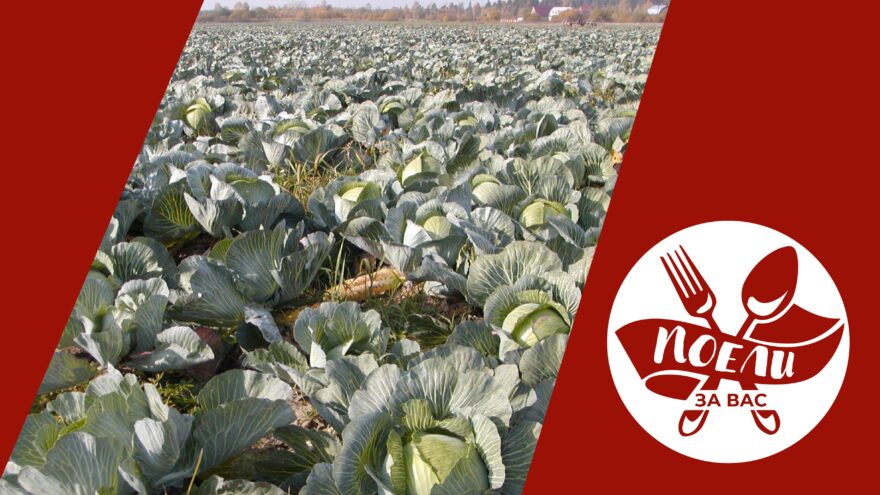 Поели за вас: Лучшие рецепты из капусты на Воздвижение Поели за вас: Лучшие рецепты из капусты на Воздвижение