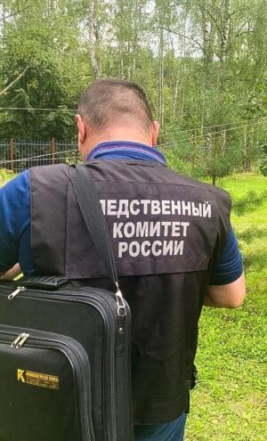 В Тверской области на 4-летнего ребенка упал столб: возбуждено уголовное дело В Тверской области на 4-летнего ребенка упал столб: возбуждено уголовное дело