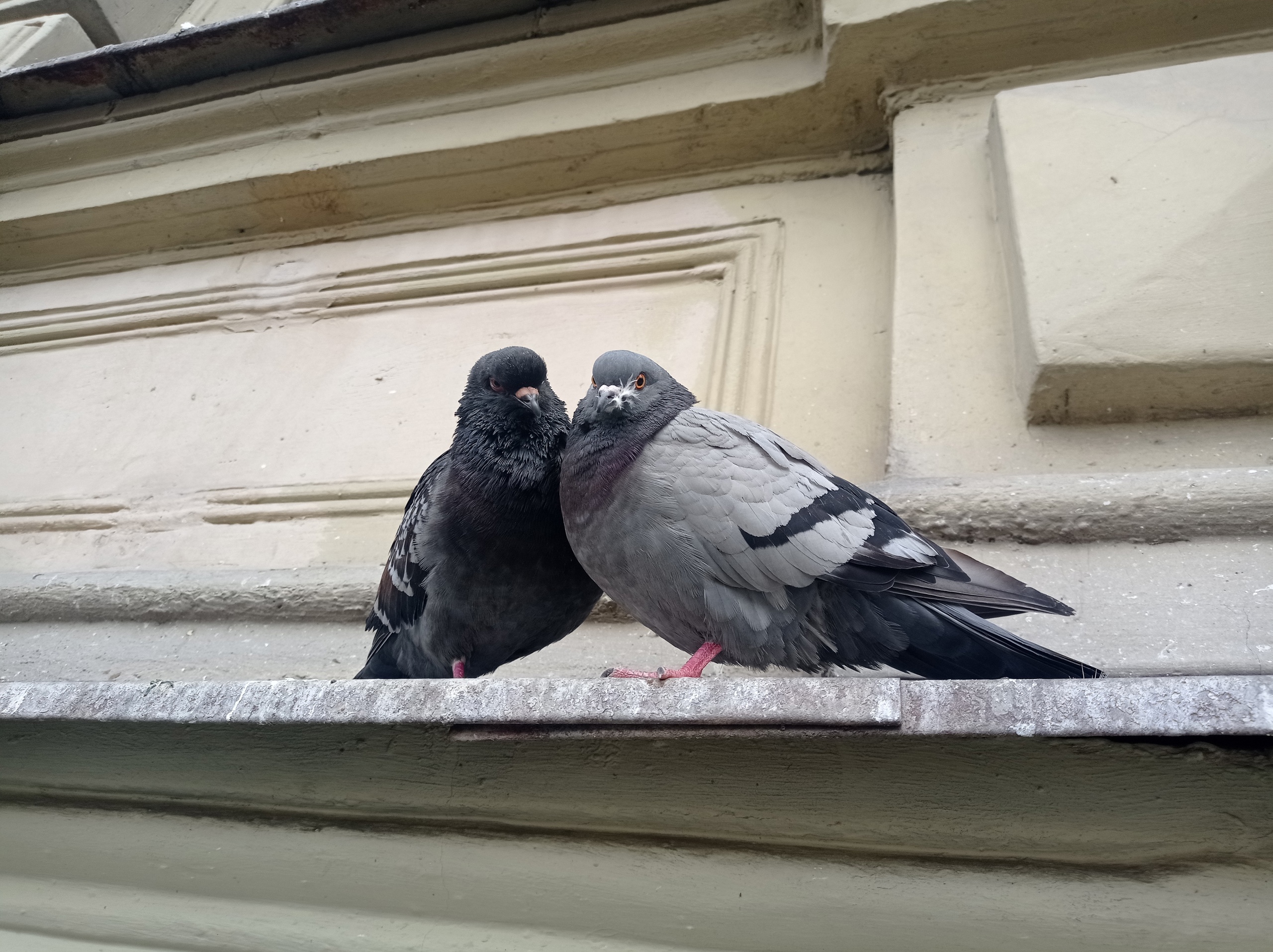 Фотолайфхак: Практическое занятие