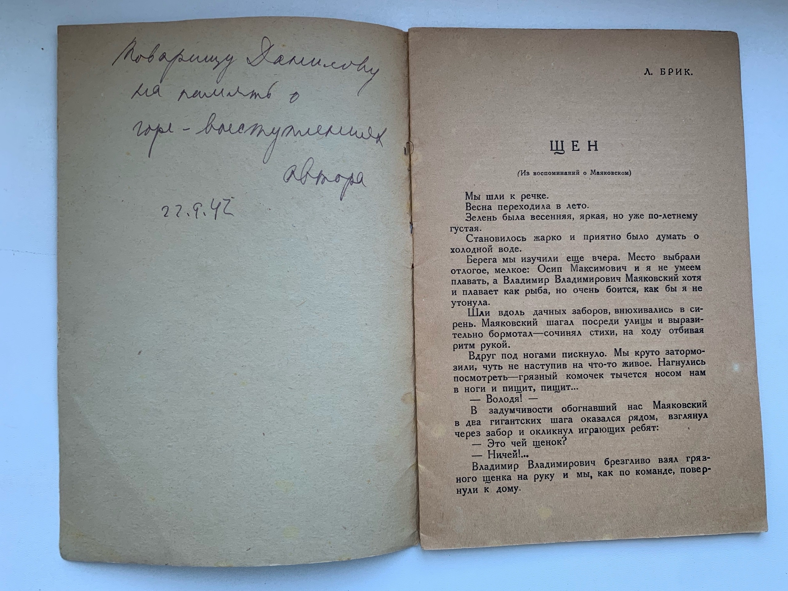Тайны старых переплетов: Запретный щенок сладок?