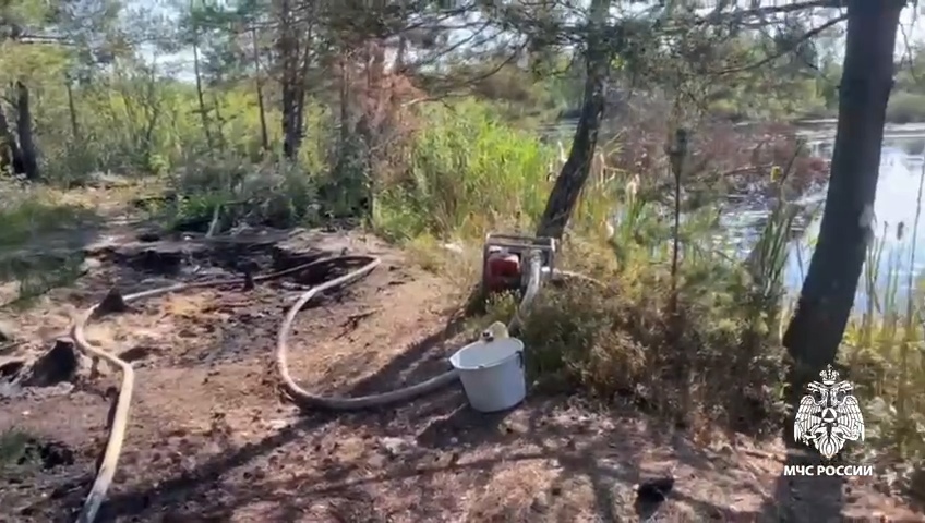 В Тверской области ликвидировали тление торфа В Тверской области ликвидировали тление торфа