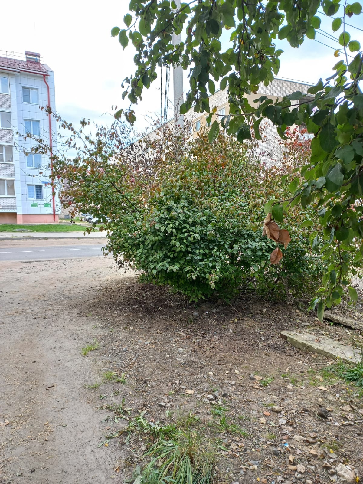 Воспитанники школы-интерната провели субботник в городе Нелидово