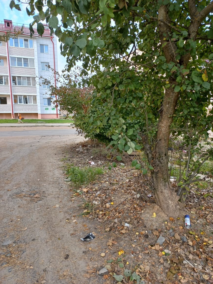 Воспитанники школы-интерната провели субботник в городе Нелидово
