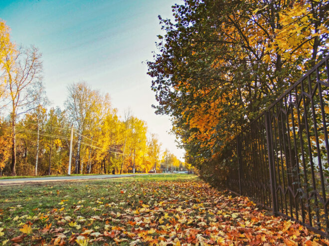 Первая суббота сентября в Тверской области станет ясной и жаркой Первая суббота сентября в Тверской области станет ясной и жаркой
