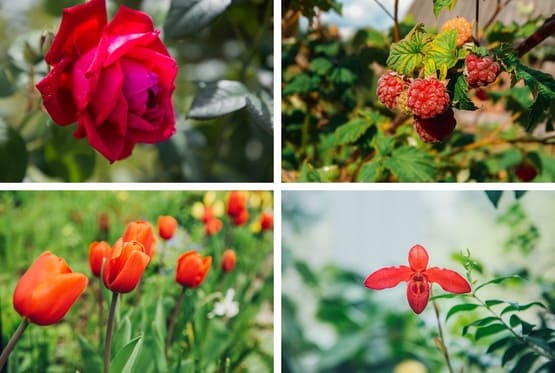 Фотолайфхак: Правило цветового контраста