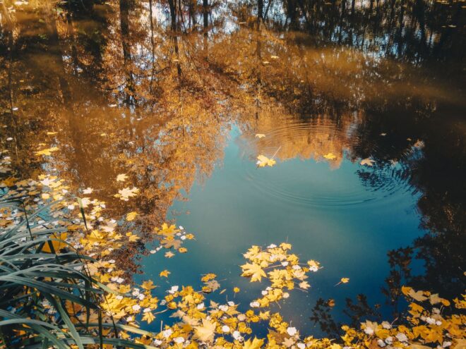 В Тверской области заметно похолодает В Тверской области заметно похолодает
