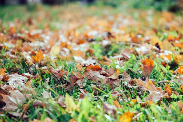 Приметы: Что нельзя делать 26 сентября Приметы: Что нельзя делать 26 сентября