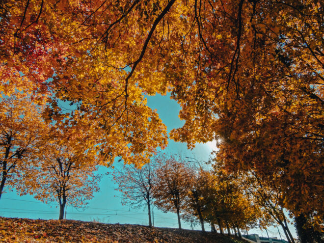 Жители Верхневолжья продолжают радоваться последним тёплым дням