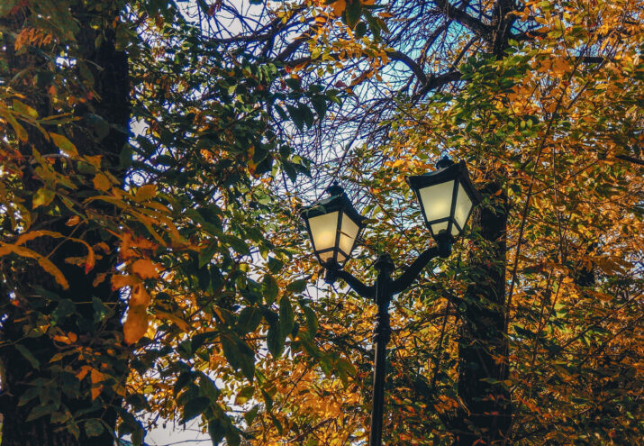 Сентябрь в Тверской области продолжает радовать аномальным теплом