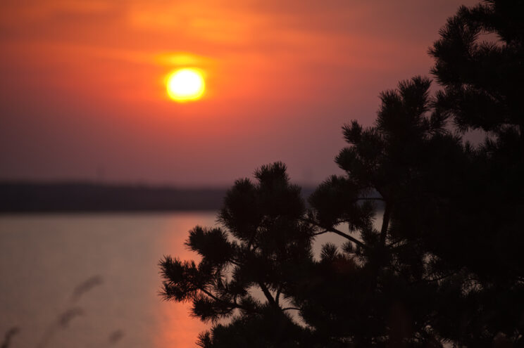 Магнитная буря в Тверской области закончилась, даже не начавшись Магнитная буря в Тверской области закончилась, даже не начавшись