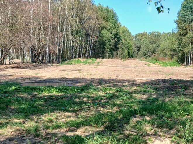 В Тверской области по предостережению Россельхознадзора устранена свалка гнилого картофеля на сельхозугодьях