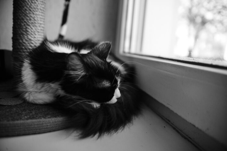 Жителям Тверской области рассказали, как заснуть во время аномальной жары Жителям Тверской области рассказали, как заснуть во время аномальной жары